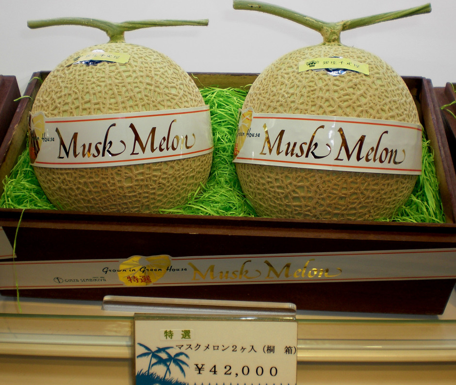 Falsch ausgepreist? Japanische Melonen für 320 Euro